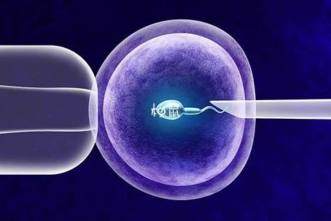 子和子可以做试管吗？国内目前有三个现实答案
