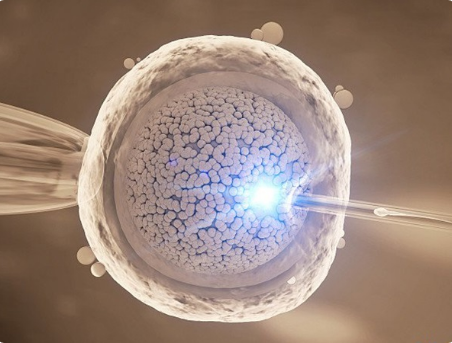 无创检查可检查胎儿染色体问题