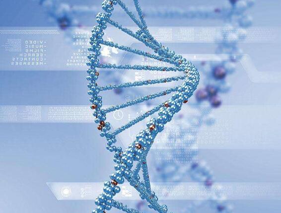 三代试管能降低单基因病遗传