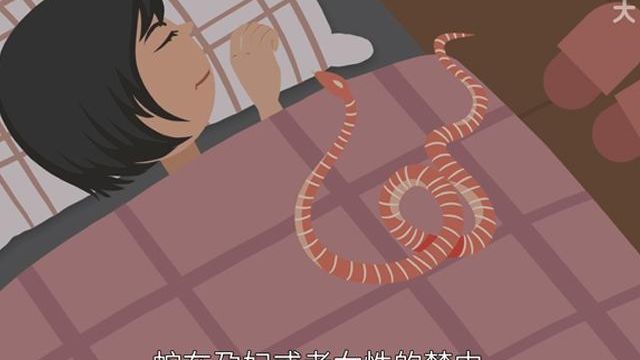 孕妇梦到蛇是什么意思？我试管移植第三天梦见蛇，后来真验证了