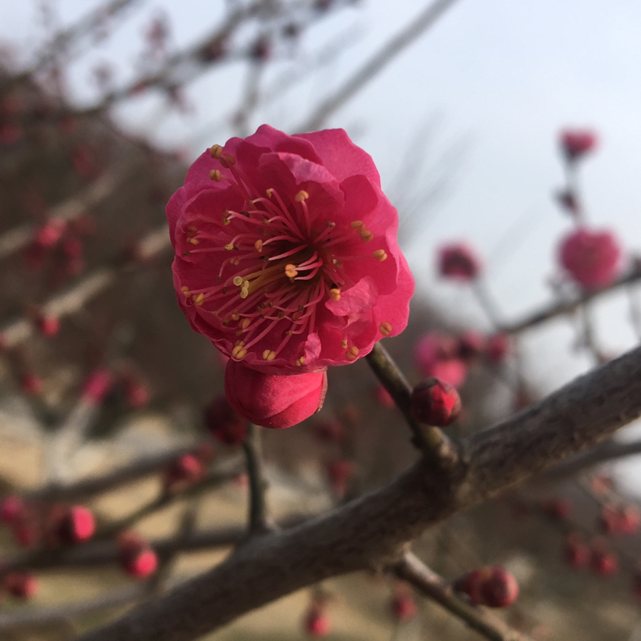 嫣然22700头像