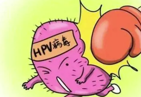 上海代孕代妈捐卵上海瑞金医院能做三代试管吗做供卵三代试管多少钱