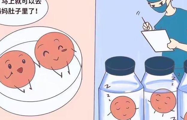 试管婴儿要多久才能怀上：鲜胚PK冻胚，谁更快？