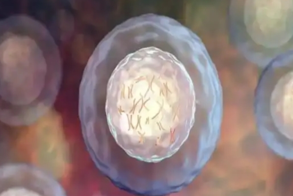激素水平异常会影响促排卵数量