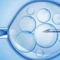 3代试管怀孕几个月才算稳定，通过NT检查后才算相对安全