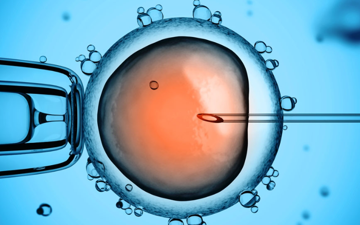 移植后14天抽血验孕较准