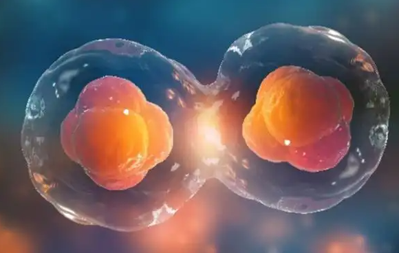 双胎费用和单胎相差不大