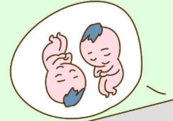 胚胎的质量会影响<a href=