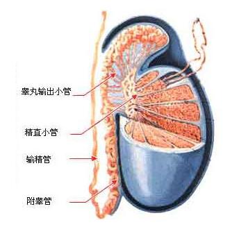 话题图标