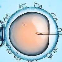 试管婴儿可以选择男女性别吗？三代试管技术上可行，但90%的人不符合条件