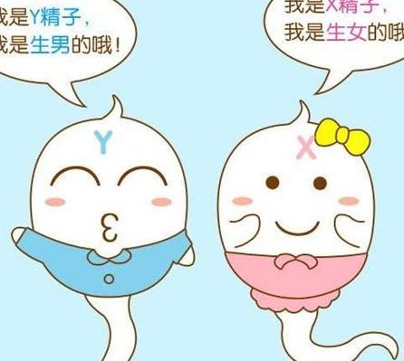 山东比较好的试管医院有哪些？先看这3步再决定