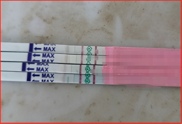 排卵试纸不能直接测出怀孕