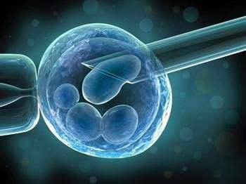 经过冷冻的胚胎解冻后对试管婴儿成功率有影响吗？
