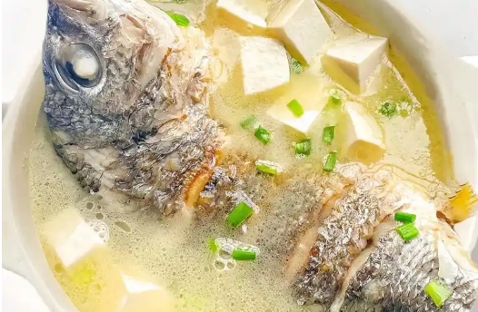 移植后每天喝鲫鱼汤