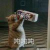 an头像