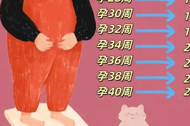孕妇在孕晚期体重是增长高峰期