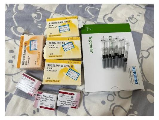 试管一共要打多少针？34岁小周数完92个针头才明白