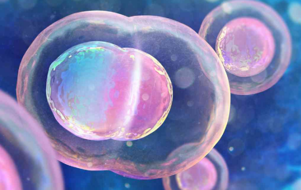 4bb囊胚是否会变双胎跟受孕方式有关?