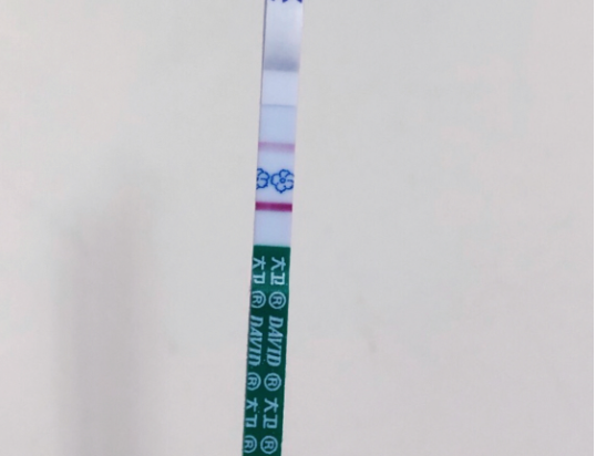 影响试纸假阳性的因素较多