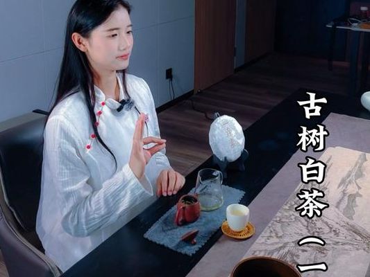 女性喝白茶的优质时间，试管那两年我总算摸清了