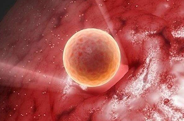 培养成囊胚是不是说明精子卵子质量好?可真会邀功啊
