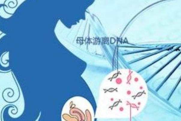 21、18、13三体检测无法判断胎儿性别