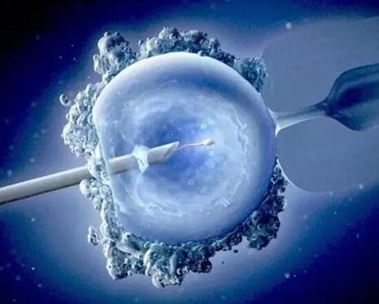 卵巢早衰能直接做试管