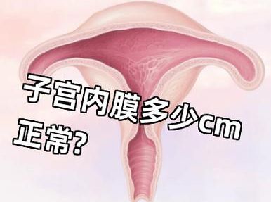 子宫内膜厚度多少正常？8mm不是铁律，这个阶段才算数