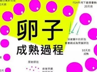 试管卵母细胞采集很疼吗？过来人帮你梳理费用明细