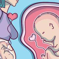 生男生女按月经来算还是按排卵期算？胎儿性别由男方精子决定