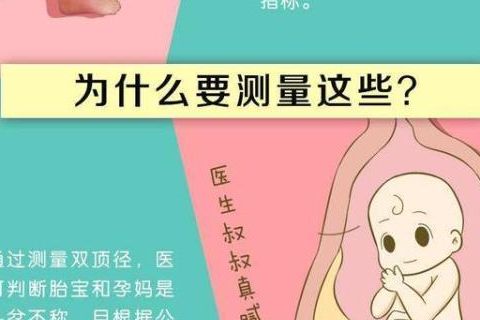 双顶径减去股骨长大于2是男孩吗？我拿着B超单问了医生