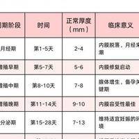试管子内膜薄怎么回事？先别慌，一步步排查这3个方向
