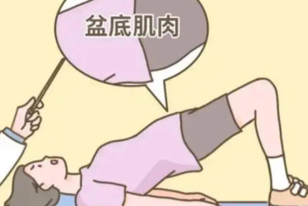 凯格尔运动一般6周左右出效果