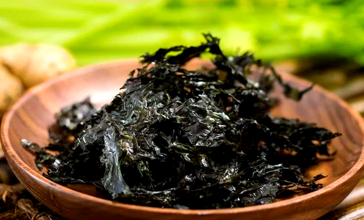 紫菜可以补血养颜
