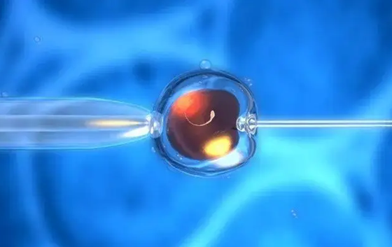 试管婴儿胚胎等级怎么划分  试…