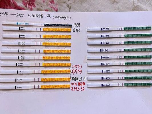 移植当天算一天吗?2025年试管孕周正确算法一次说清