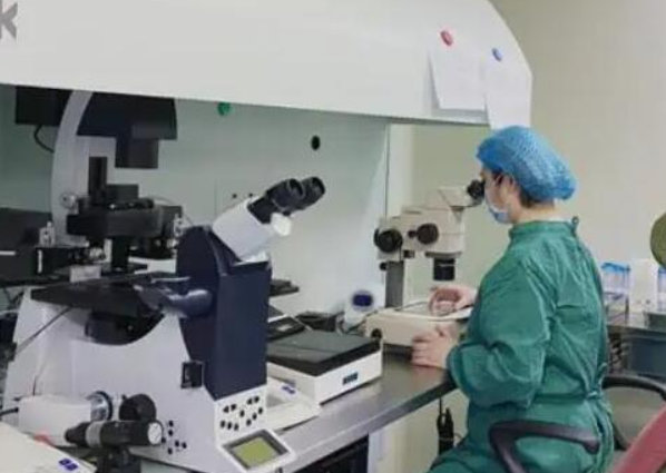 去马来西亚进行借卵试管的费用大概多少钱？