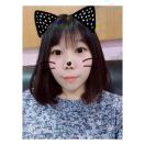 泡菜小姐头像