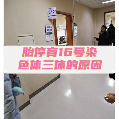 16号染色体三体胎停原因，我试管两次才弄明白