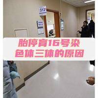 16号染色体三体胎停原因，我试管两次才弄明白