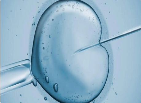4BC和2BB是两种常见的胚胎等级