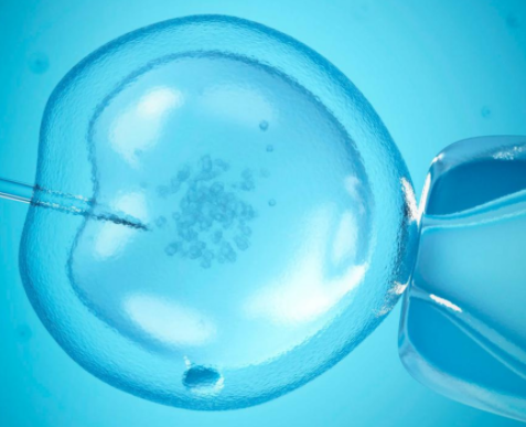 生殖器结核治好了可以做试管婴儿吗?病毒会影响试管成功率吗?