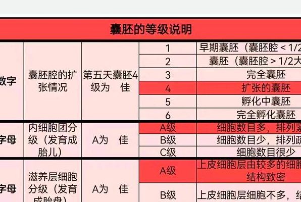 人类胚胎器官发育顺序大PK：心脏最先工作，但神经才是发育的真正定调者