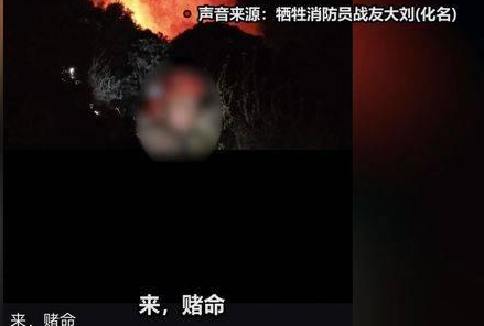*截图20190402142545.png
