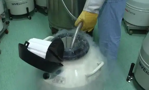 移植冻胚的大忌