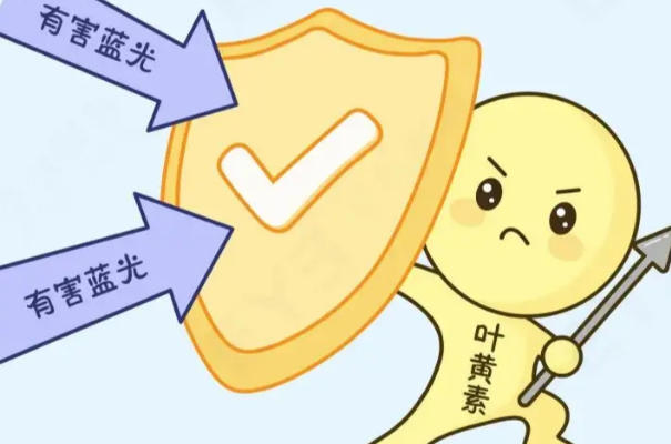 补充叶黄素可以保护视力