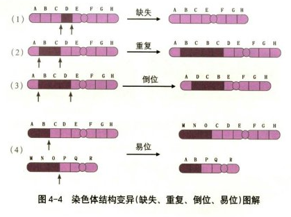 话题图标