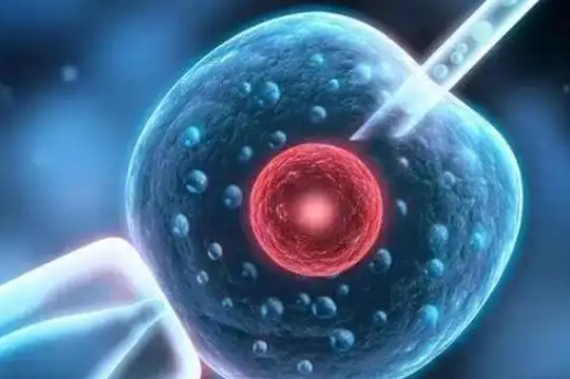 孕酮高会影响子宫兼容性