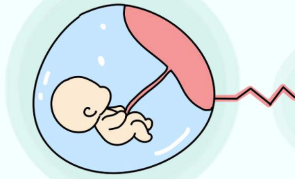 试管婴儿b级胚胎