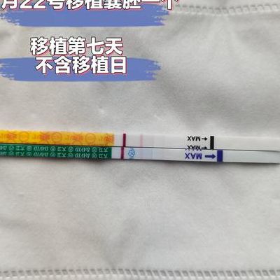 试管几天着床？我移植后第7天测出意念灰，说点大实话